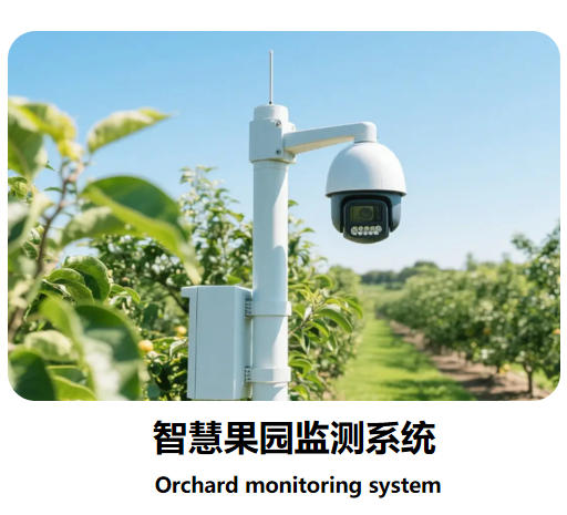 智慧果園監測系統說明