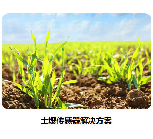 物聯網傳感器-土壤系列解決方案