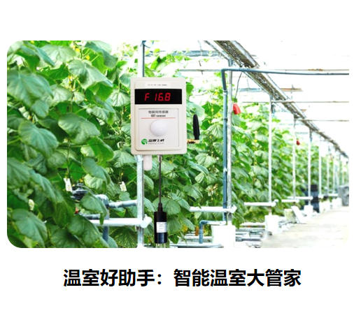 溫室好助手：智能溫室大管家
