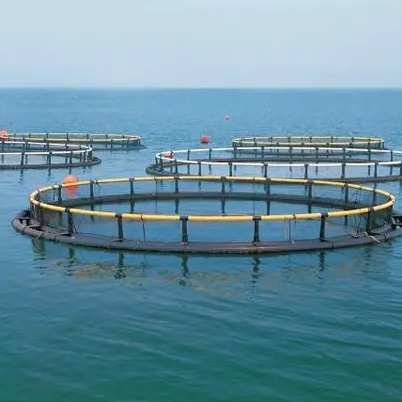 智能水產養殖系統